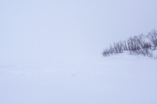 Пейзаж Белого Моря в пургу